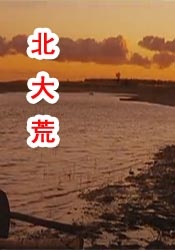 最新激情网址